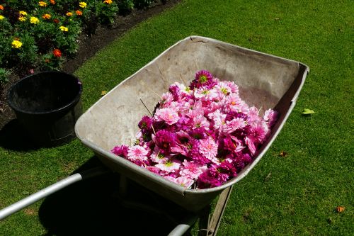 the garden doctor edinburgh5